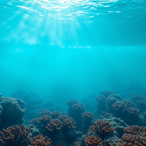 3D render, a coral reef underwater scene, in early morning mist, with gentle breeze, cool blue tones, bird eye view, rim lighting, sharp focus, romantic and dreamy